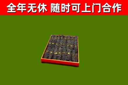 剑川回收海参